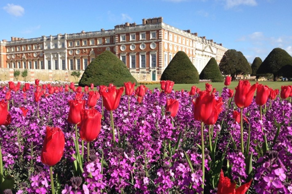 Hampton Court Palace Gardens  Hampton court palace gardens, Palace garden,  Hampton court