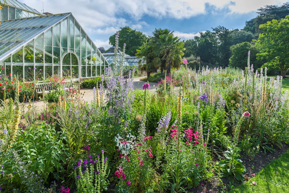 Cambridge University Botanic Garden