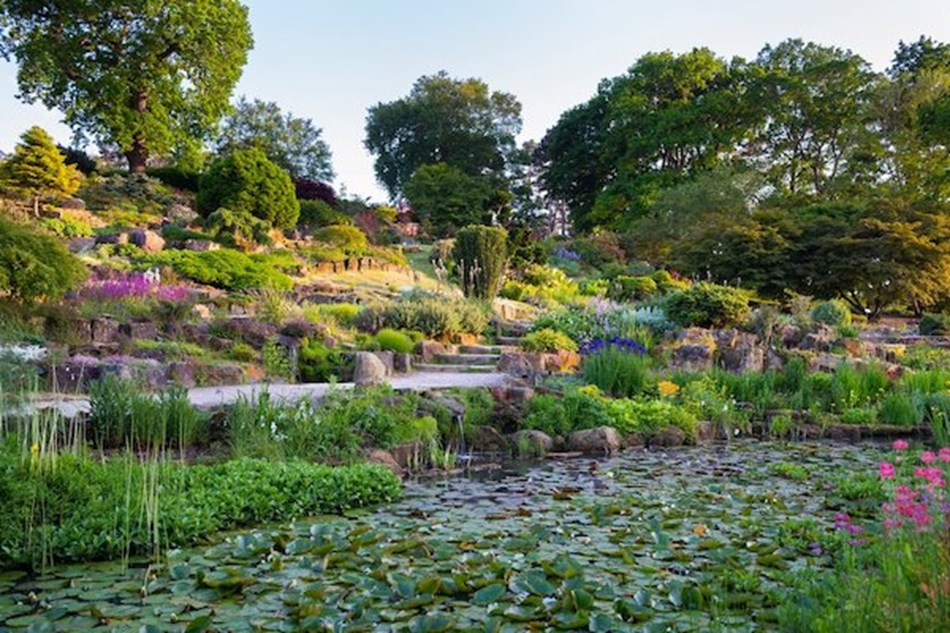 RHS Garden Wisley