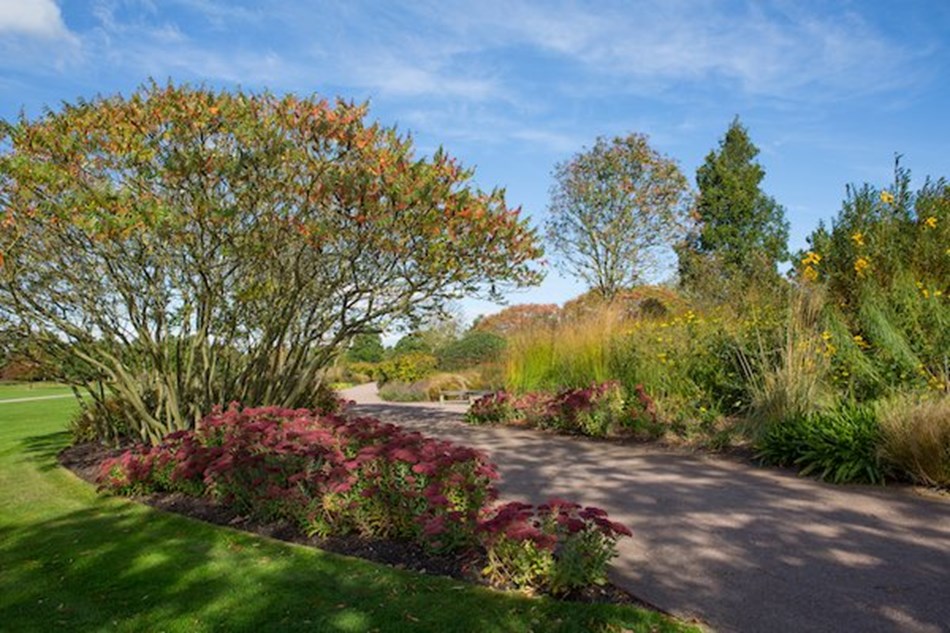 RHS Garden Hyde Hall